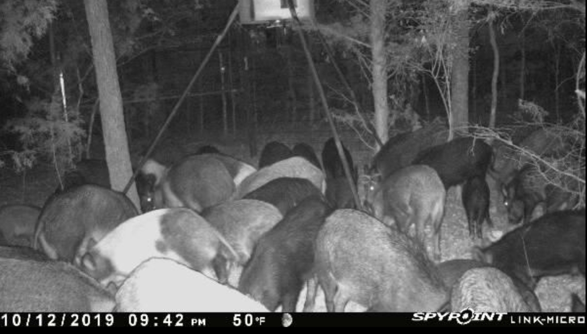 0164634F-F185-422C-912D-4913D6702392.jpeg 0164634F-F185-422C-912D-4913D6702392.jpeg