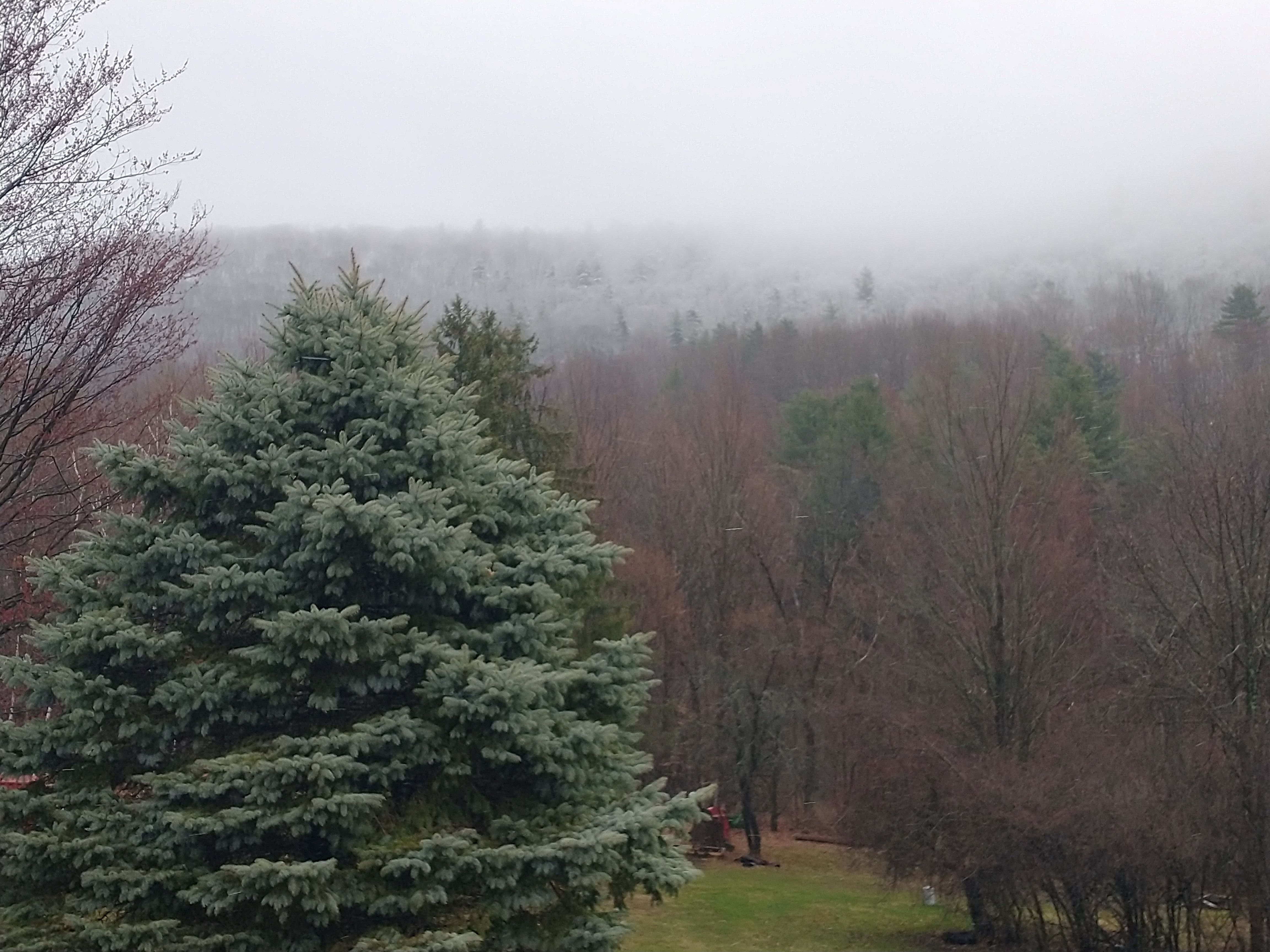 04 11 25 pic 2.jpg