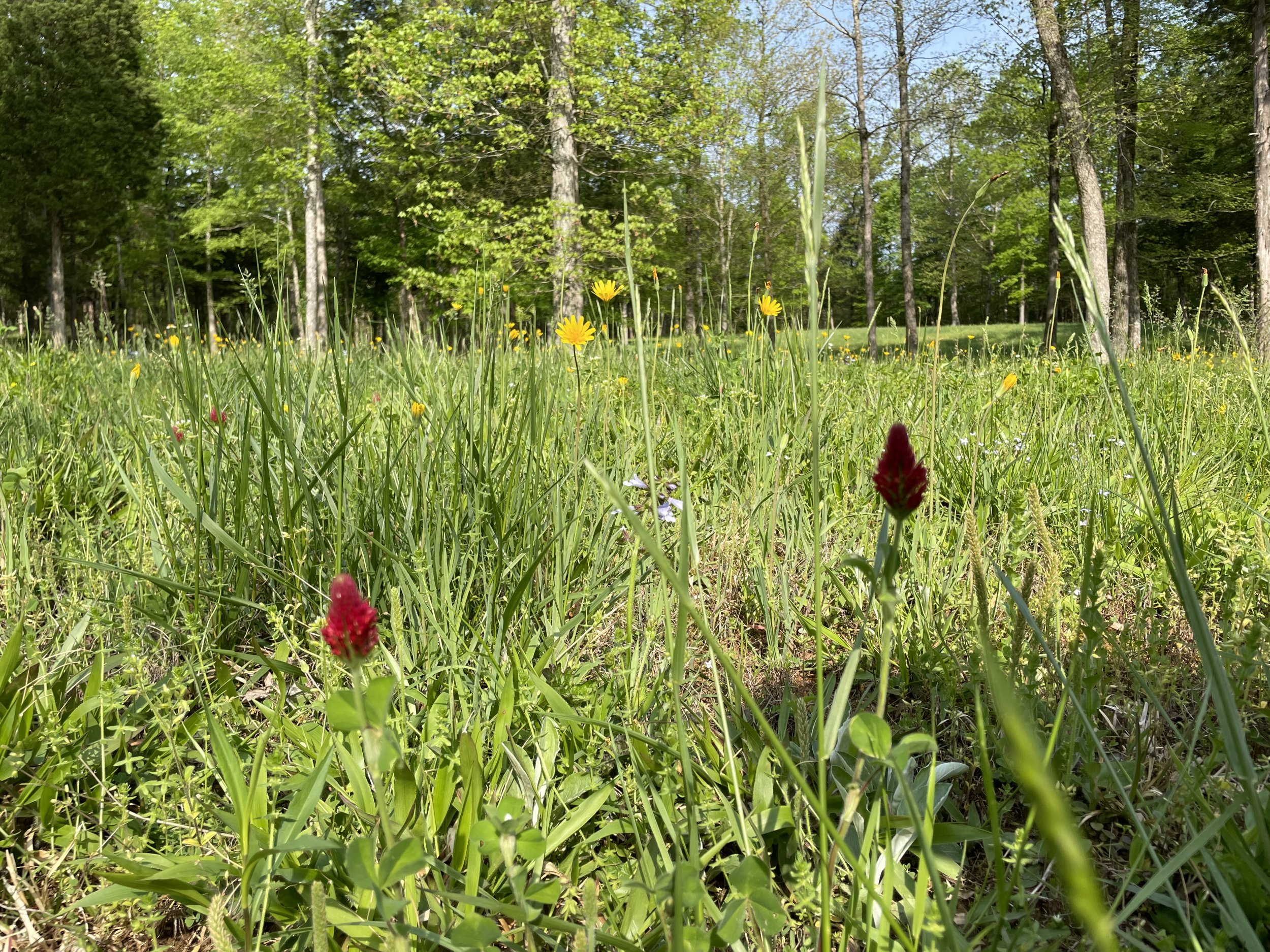 052749D7-B607-49AB-A606-CE0100A77857.jpeg