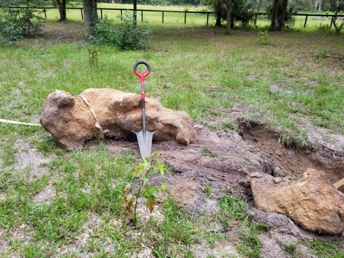 07 16 19 Giant rock pulled out with Kubota small.jpg