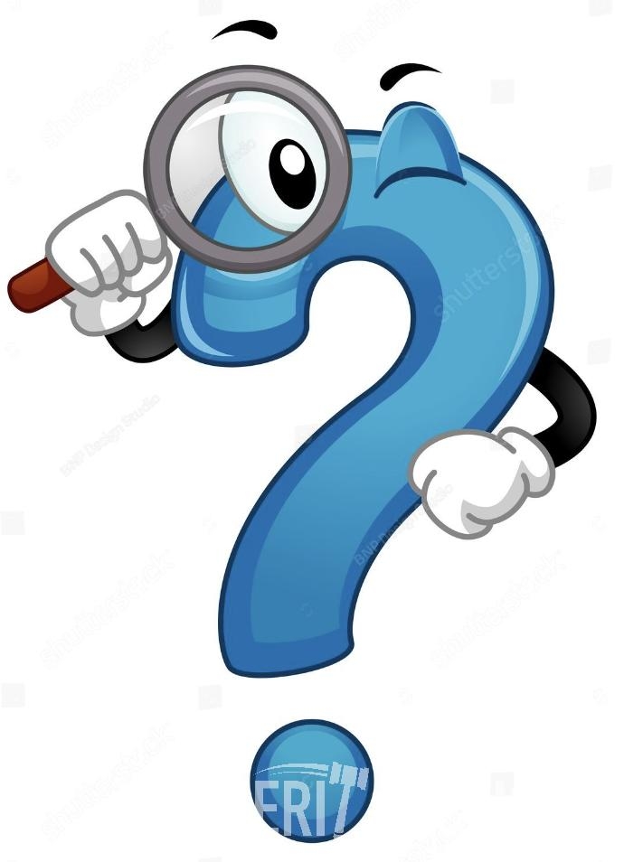Auction Questions (A47164)