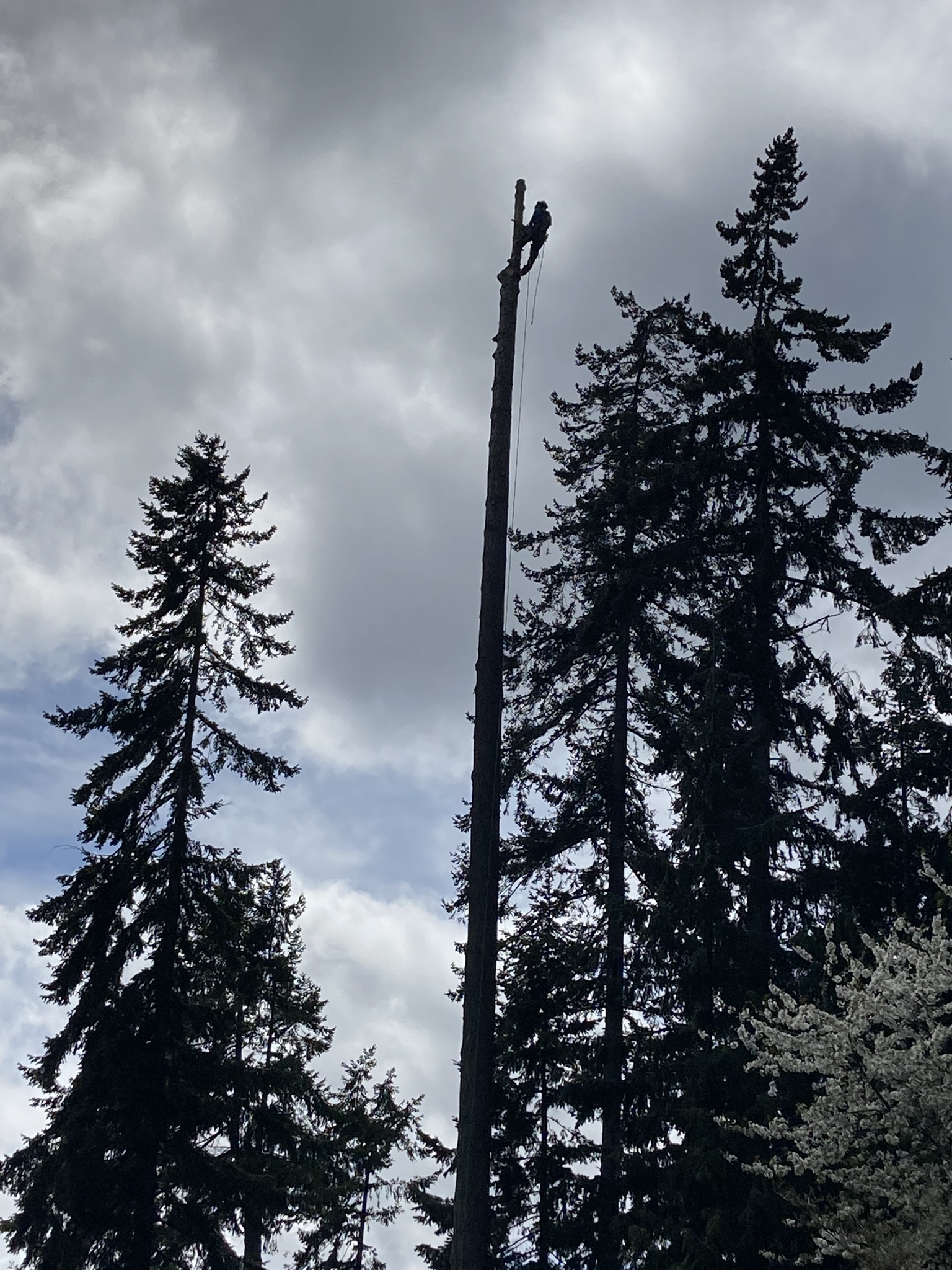 1021C78C-6C39-4945-B8F1-C917999F1A0C.jpeg