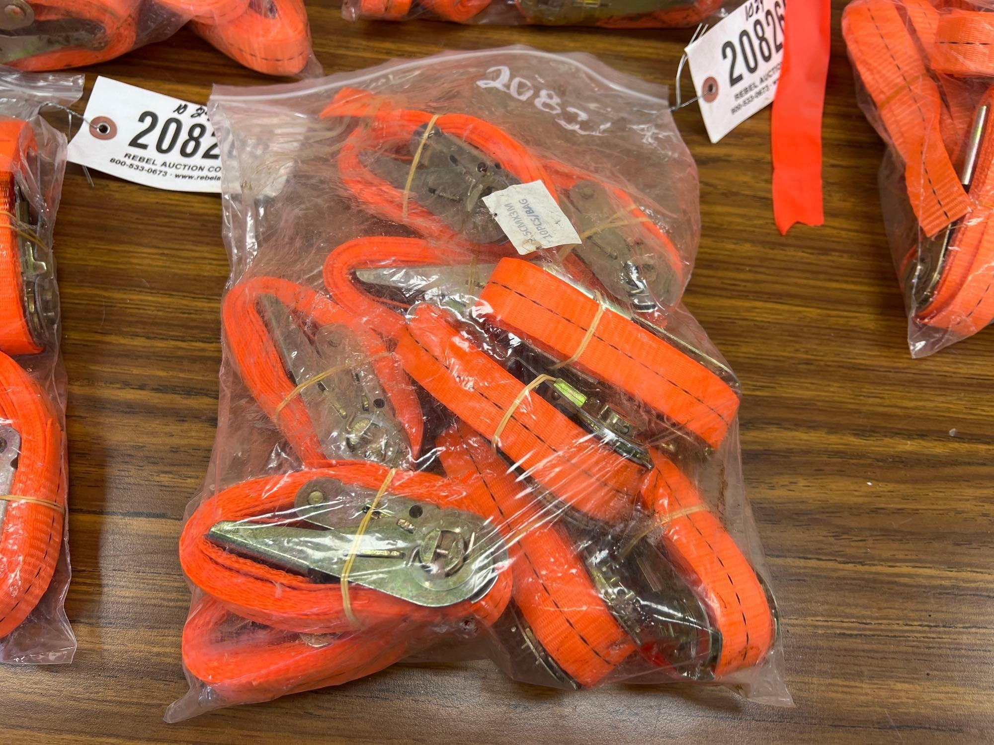 (10) UNUSED SDLANCH 2.5CMX3M RATCHET STRAPS (A58375)