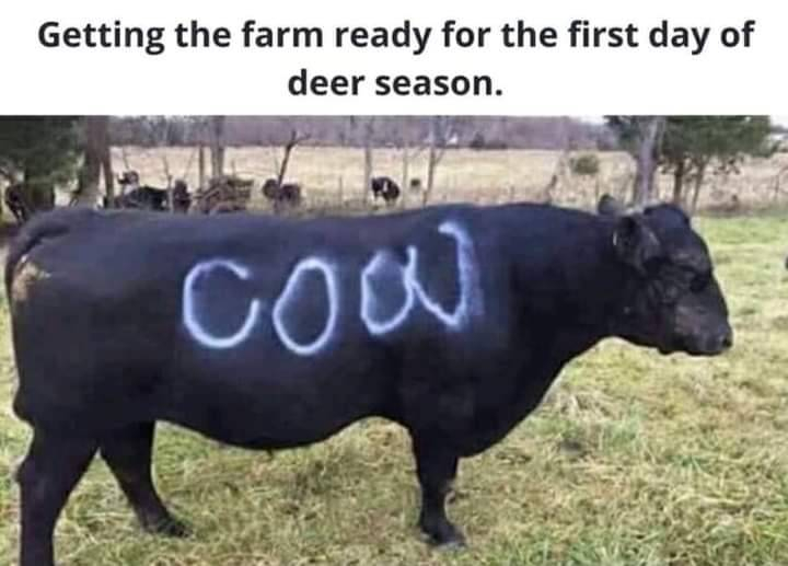 1633215396363.jpeg