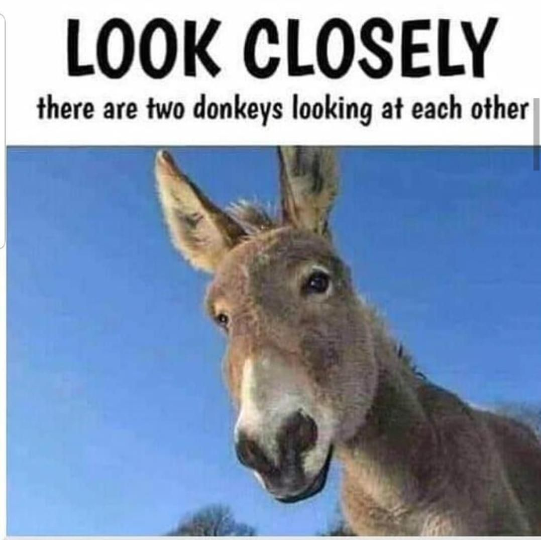 1638148823326.jpeg