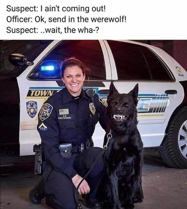 1640409742116.jpeg
