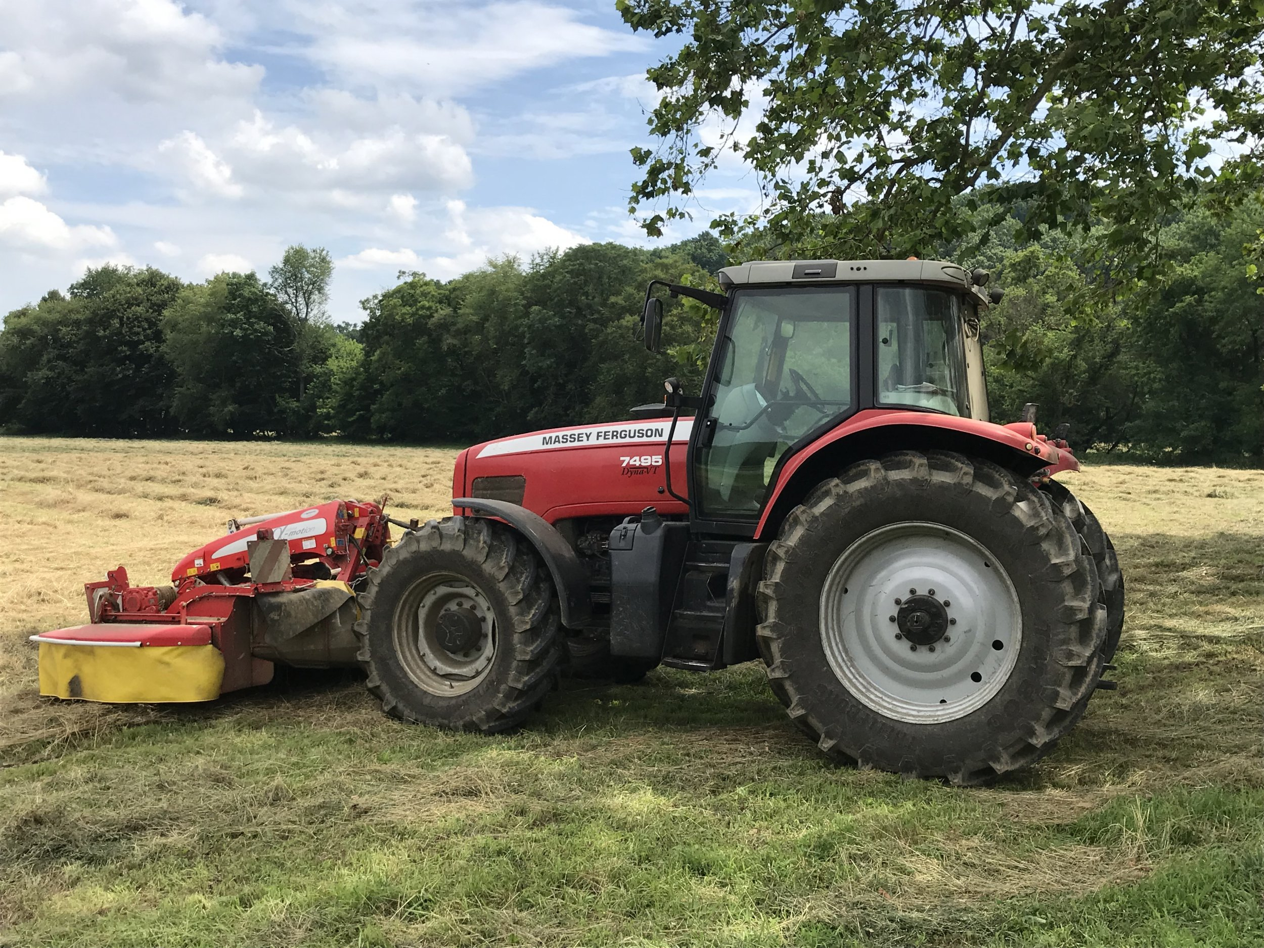 1648044369034.jpeg 1648044369034.jpeg