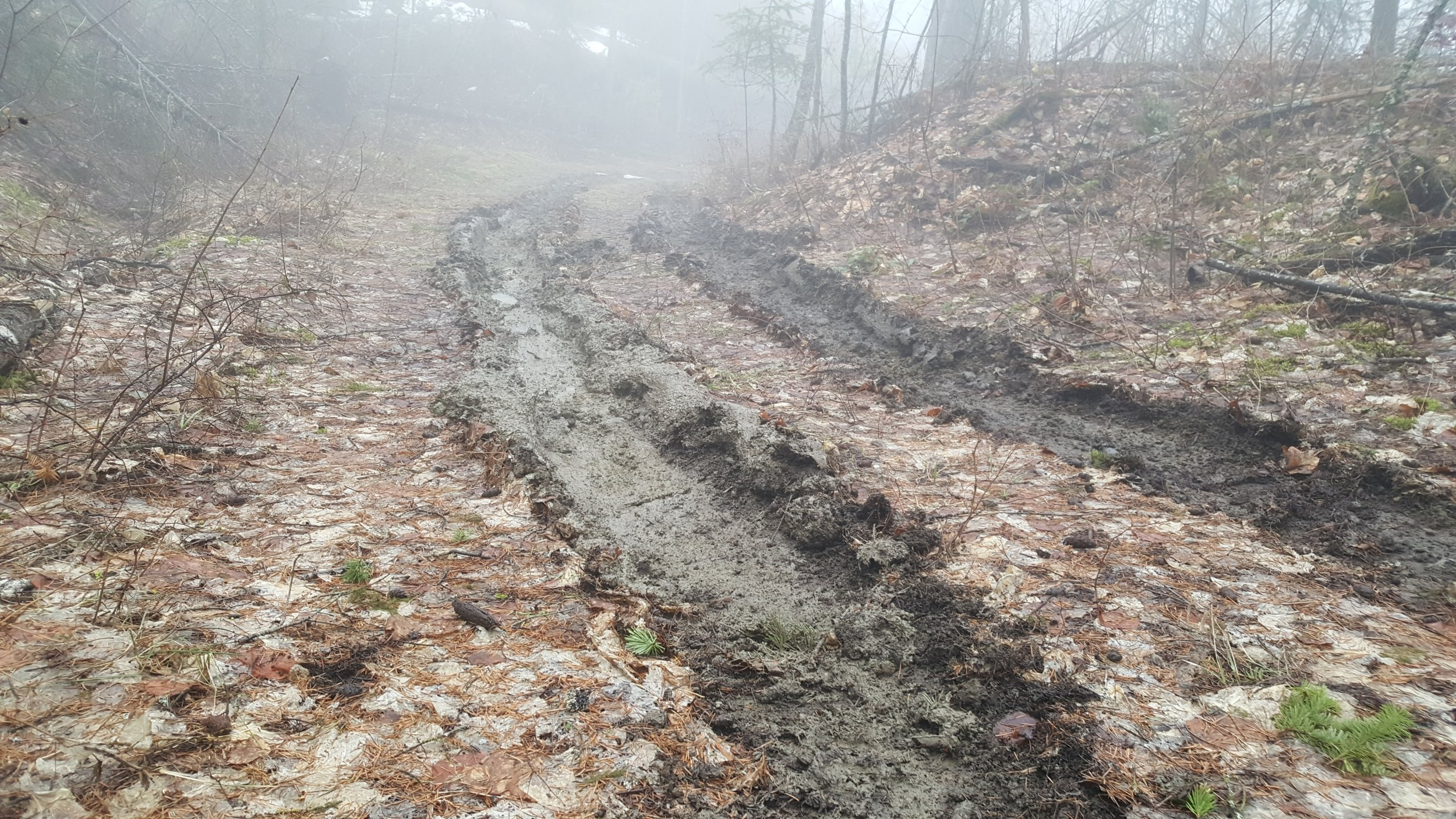 1649530914944.jpeg 1649530914944.jpeg