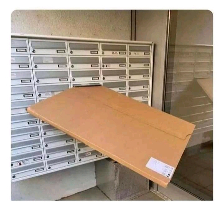 1650208053218.jpeg