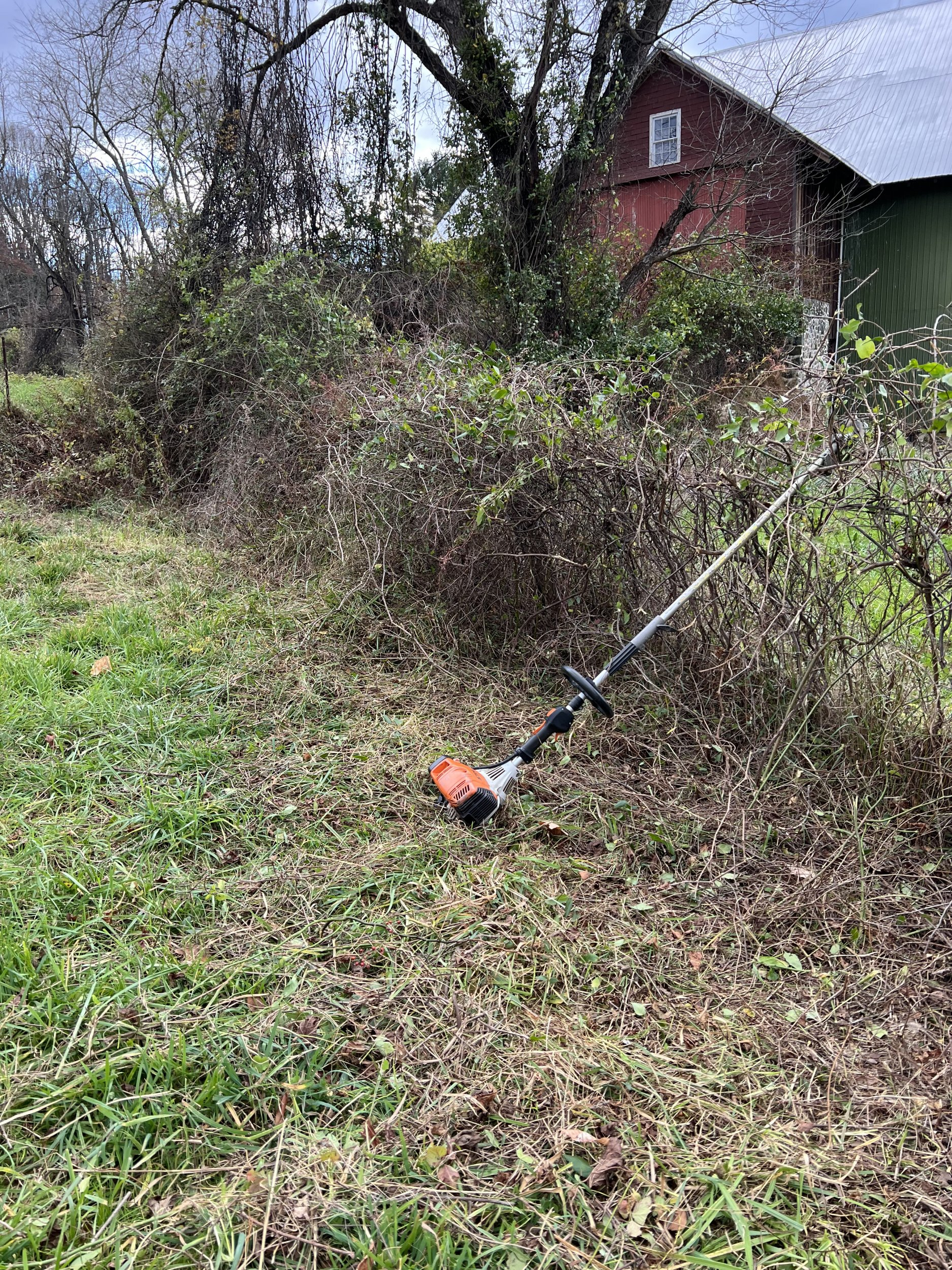 1668896522302.jpeg 1668896522302.jpeg