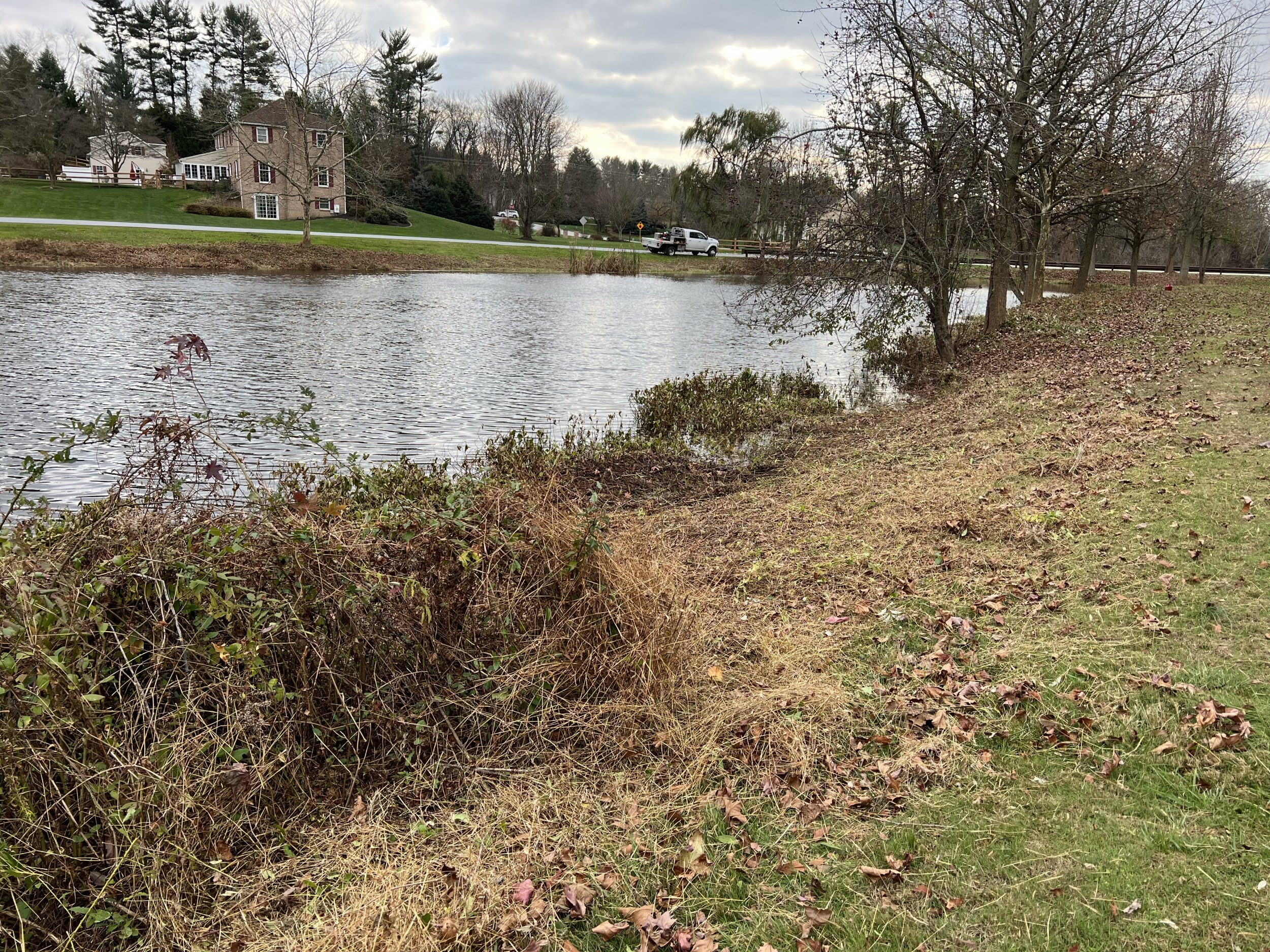 1668905854345.jpeg 1668905854345.jpeg