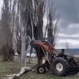 1675856938_9.gif