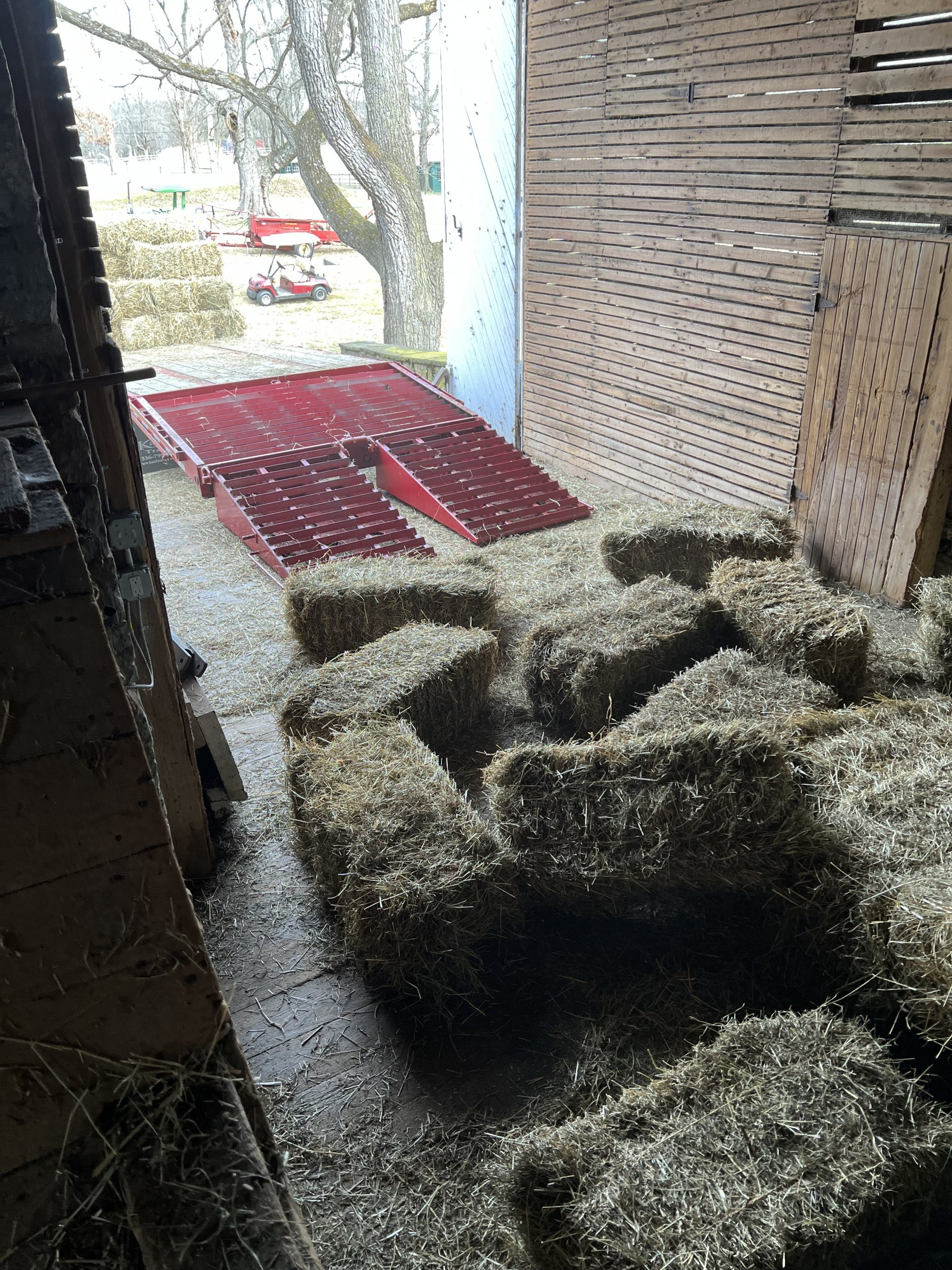 1676505176854.jpeg 1676505176854.jpeg