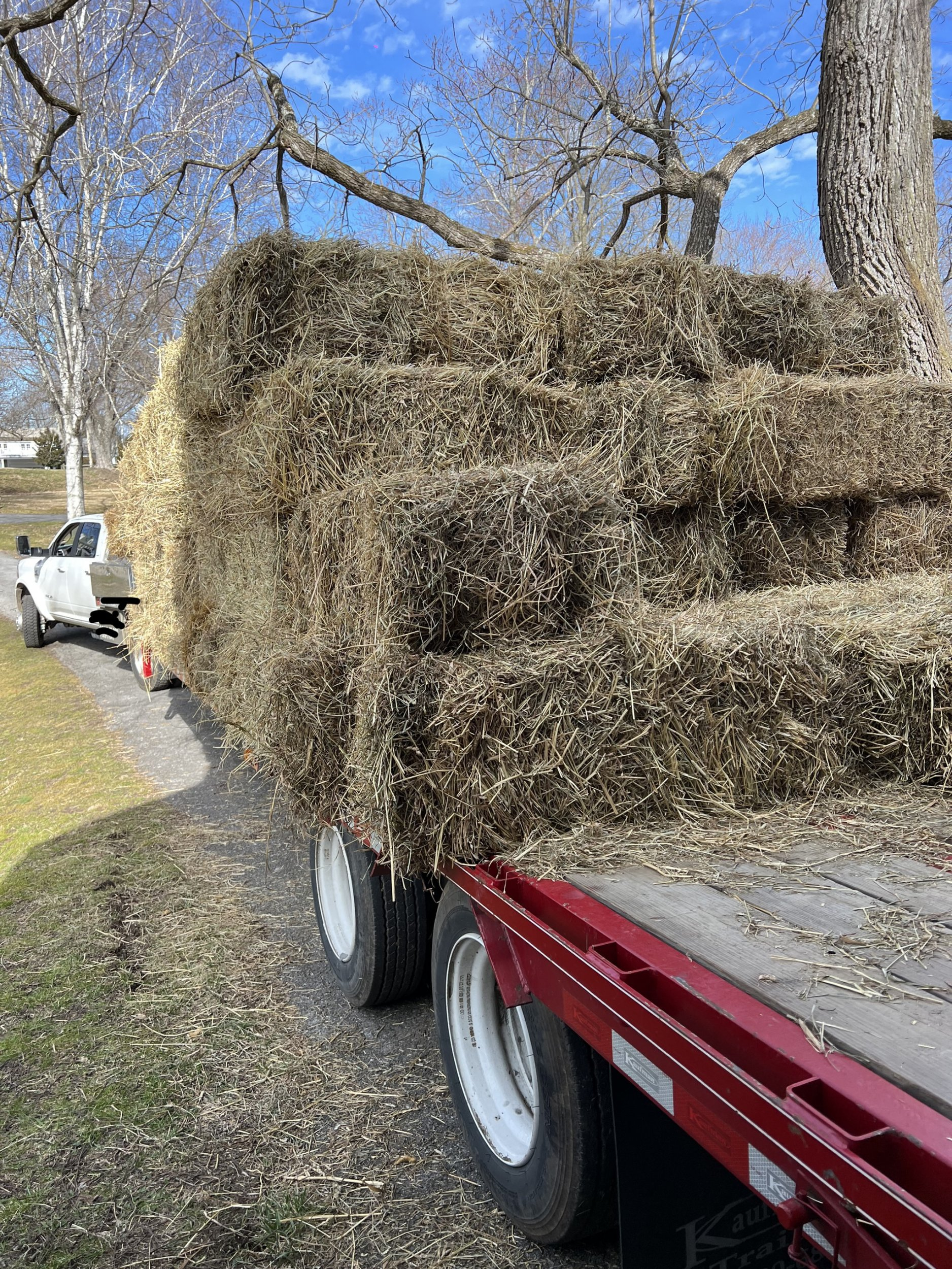 1676505249200.jpeg 1676505249200.jpeg