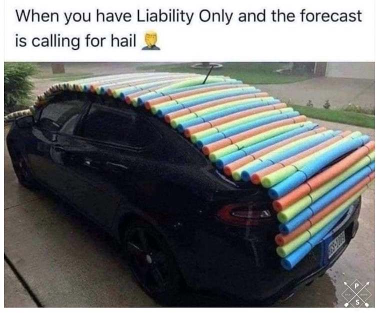1691610331679.jpeg