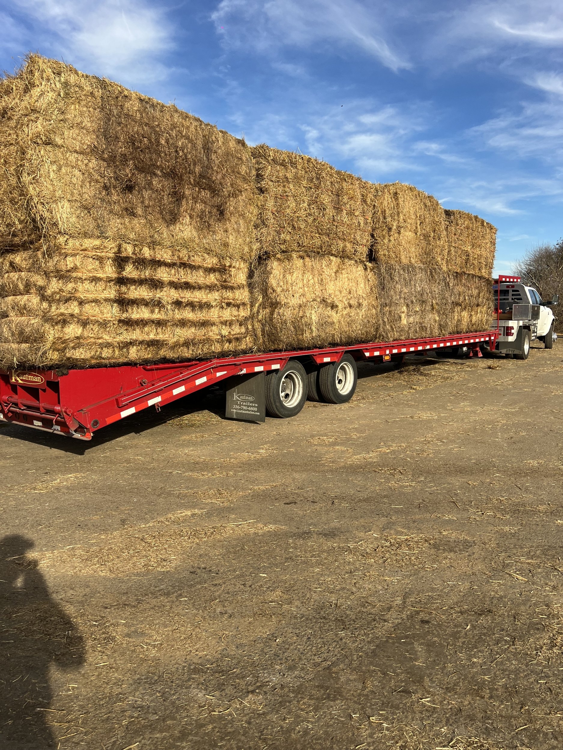 1700566550261.jpeg 1700566550261.jpeg