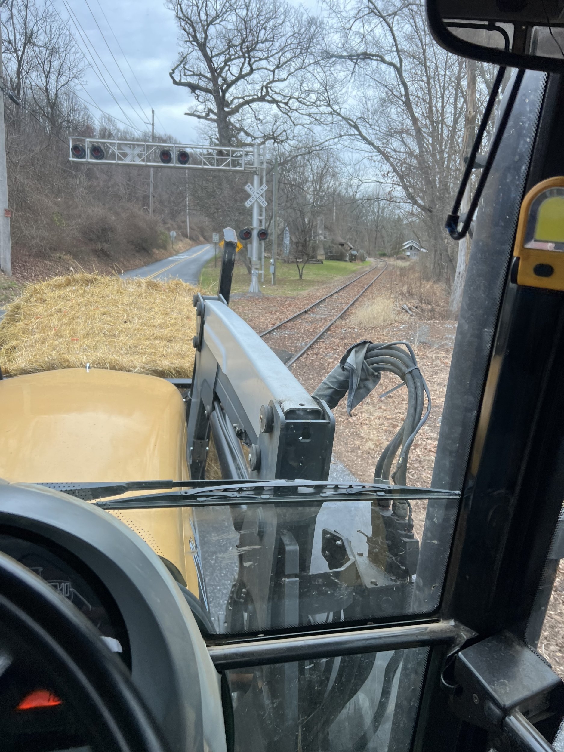 1703803416663.jpeg 1703803416663.jpeg