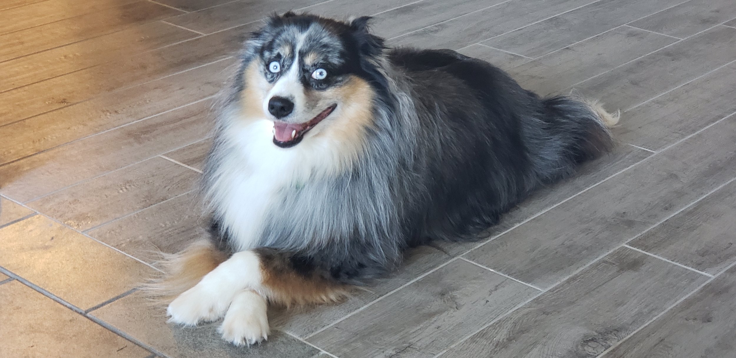 1706410706242.jpeg