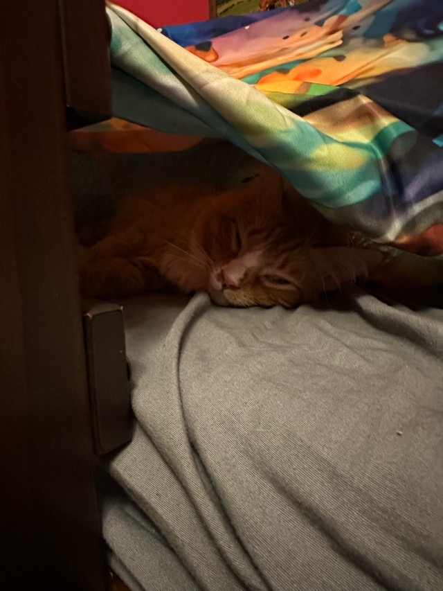 1706546234763.jpeg