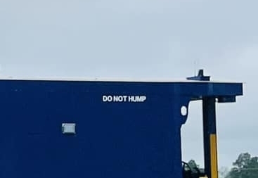 1752840496302 a.jpeg
