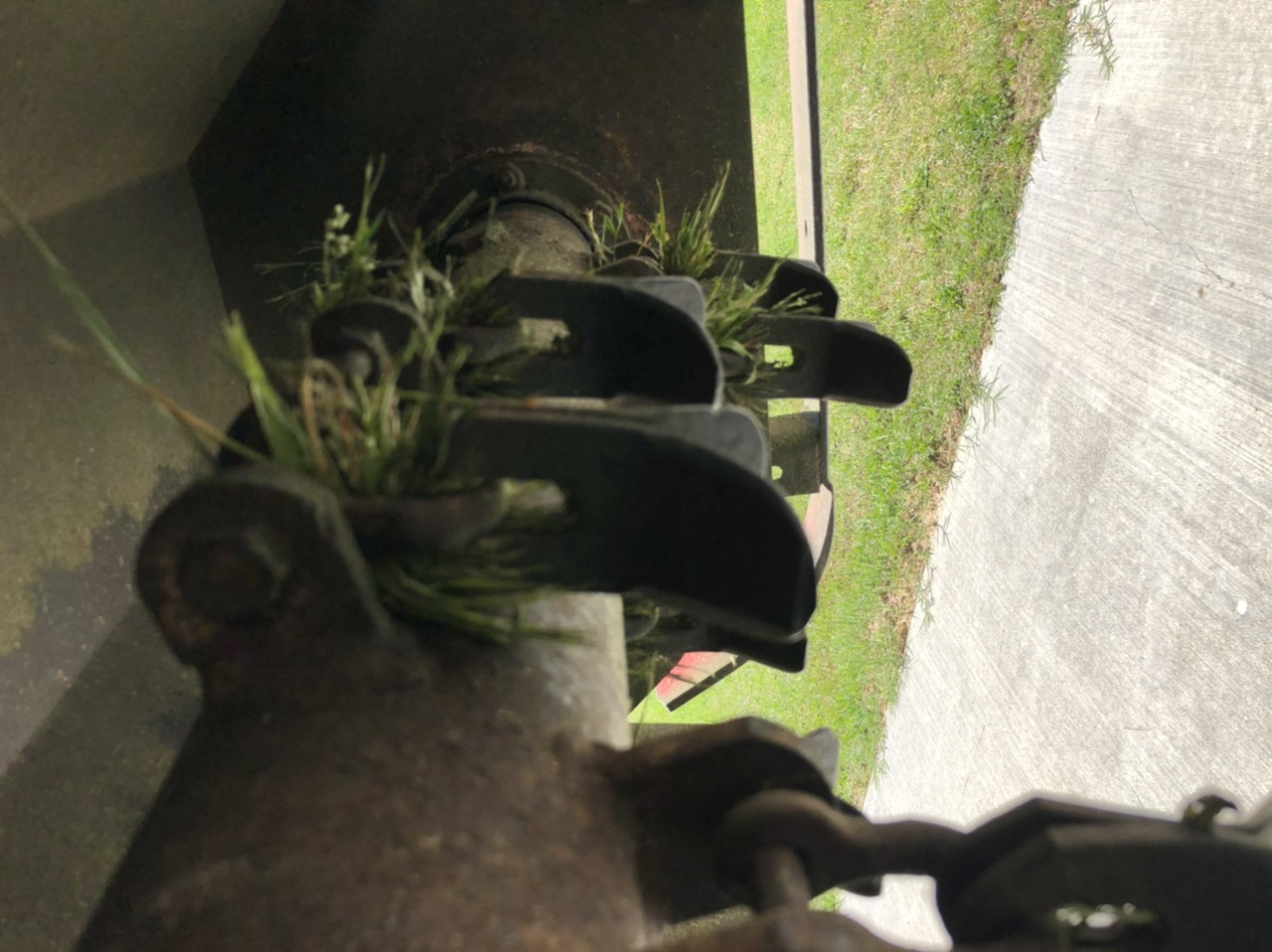 17B56B04-7BC4-40AC-A2A7-7CE654F65509.jpeg