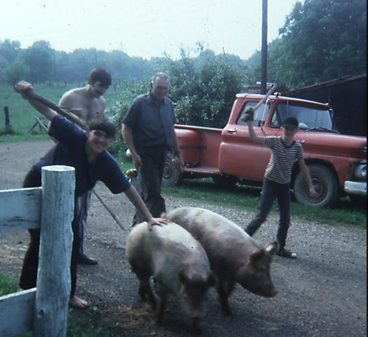 1975_farm_Image025.jpeg