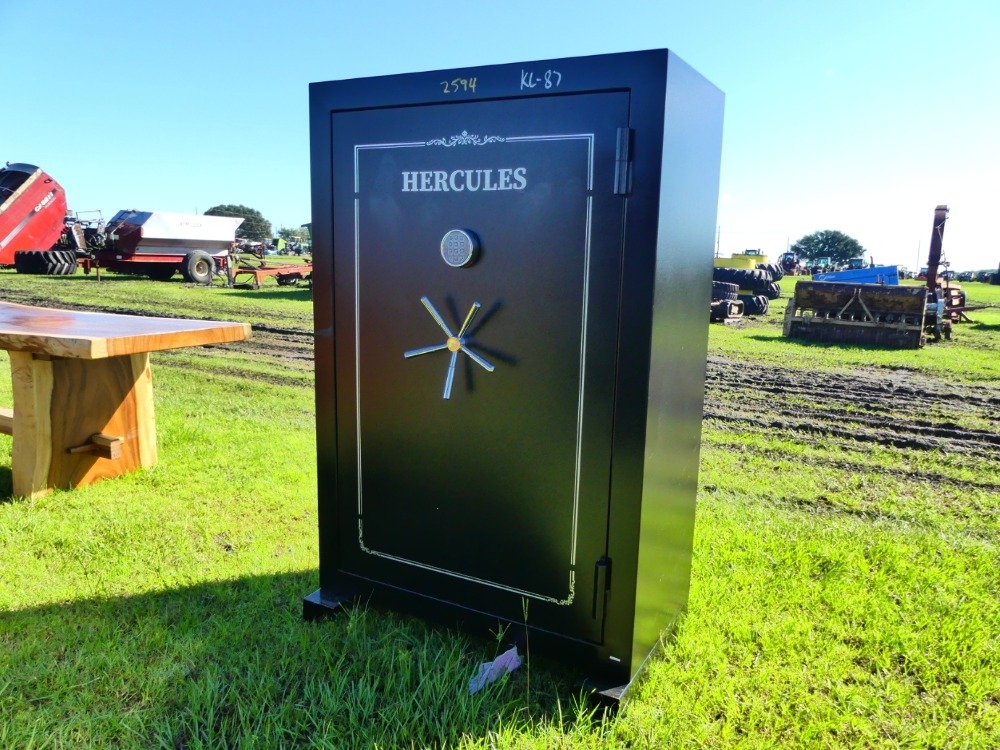 Hercules Safe (A53316)