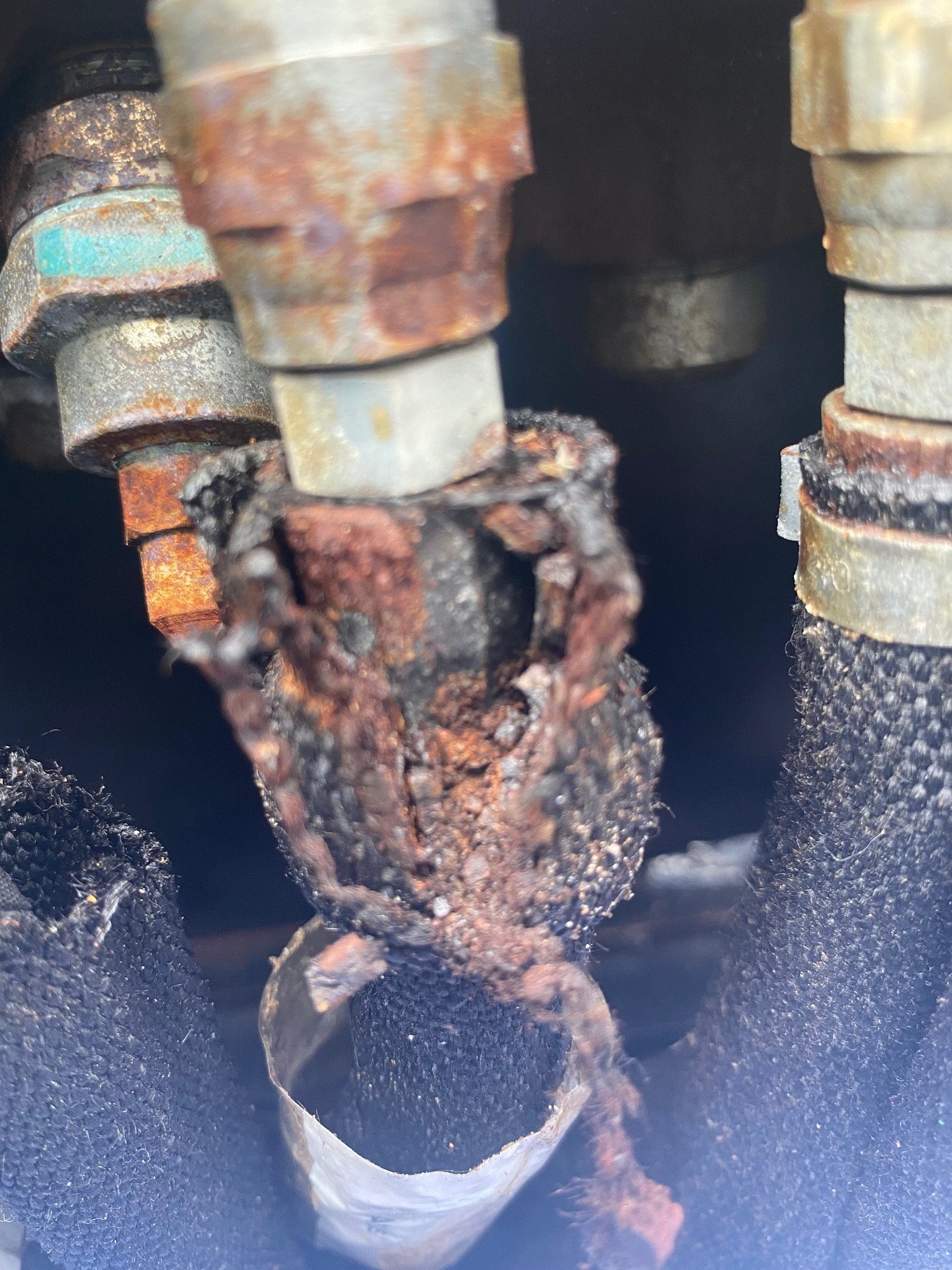 1D263ED6-4A27-4B2F-83F5-857EFA7C73CD.jpeg 1D263ED6-4A27-4B2F-83F5-857EFA7C73CD.jpeg