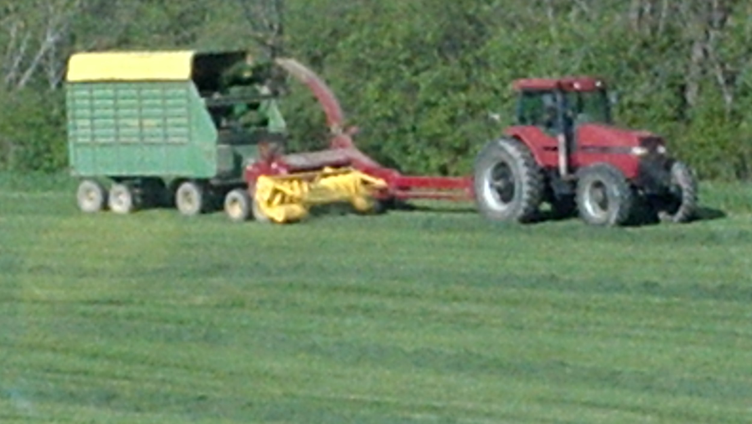2012-05-12_17-31-53_657.jpg