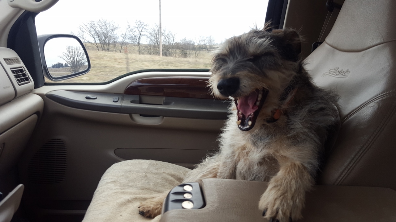 20161210_093828 (1280x720).jpg