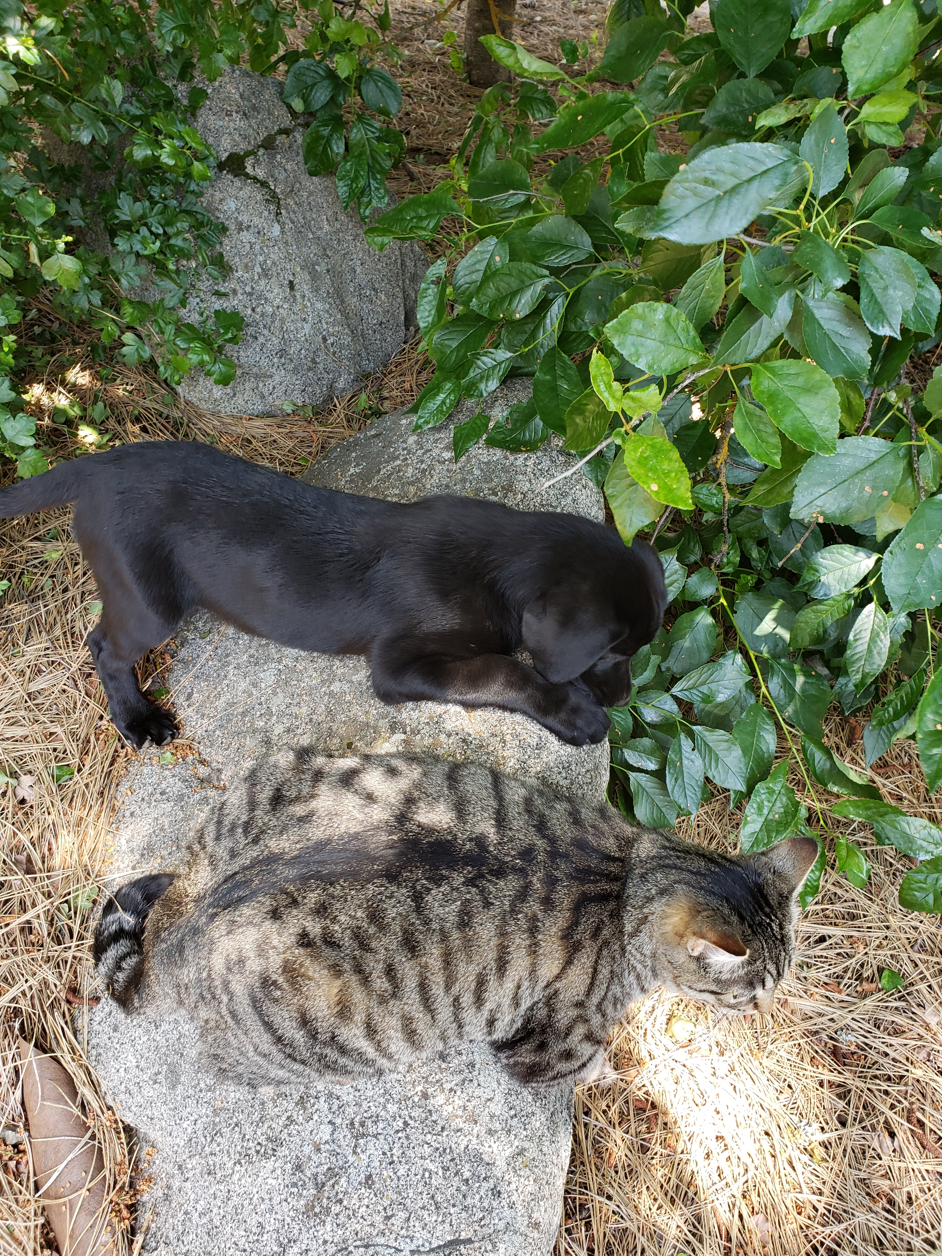 20180622_140639.jpeg