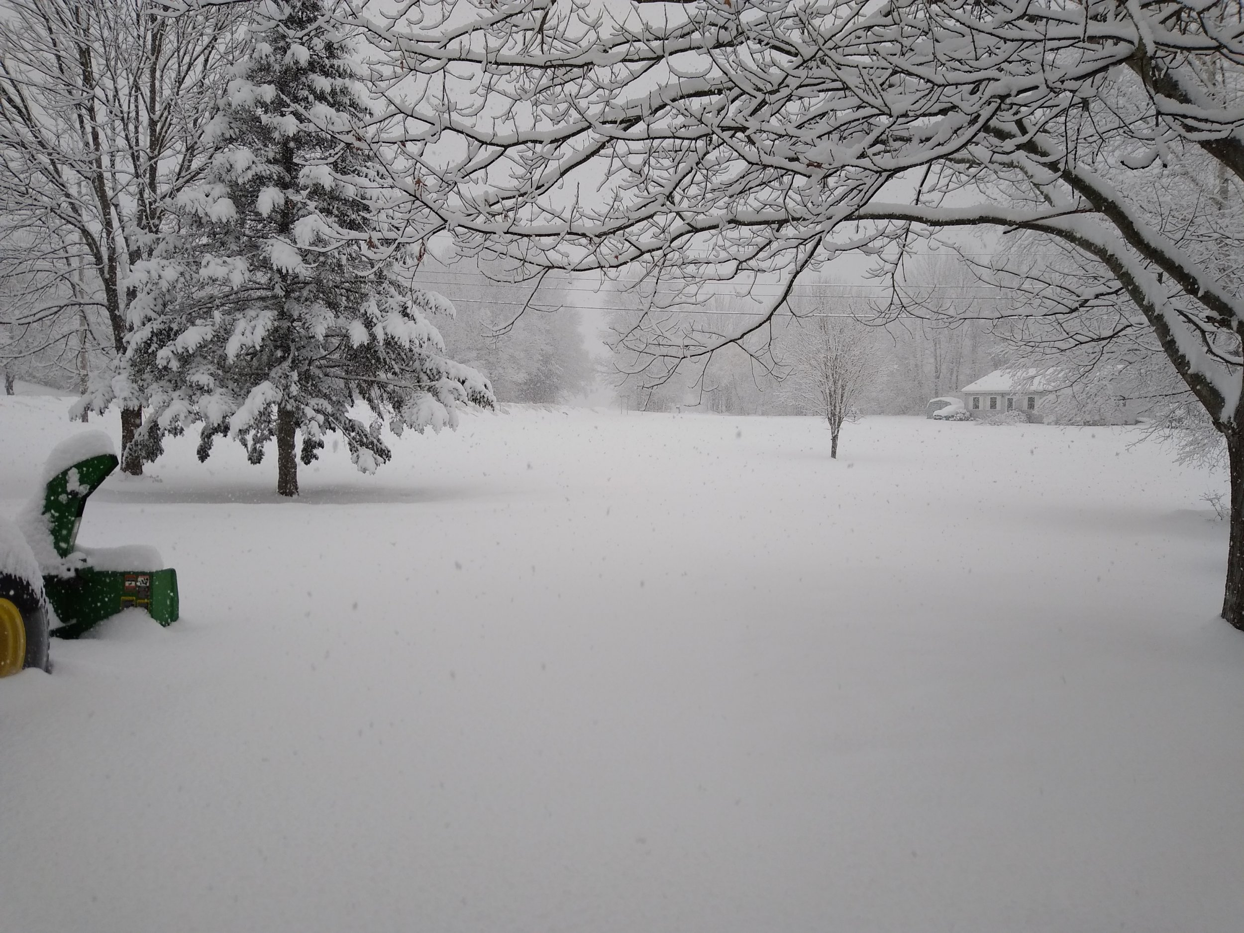 2022-01-17 Snow Front Lawn.jpg