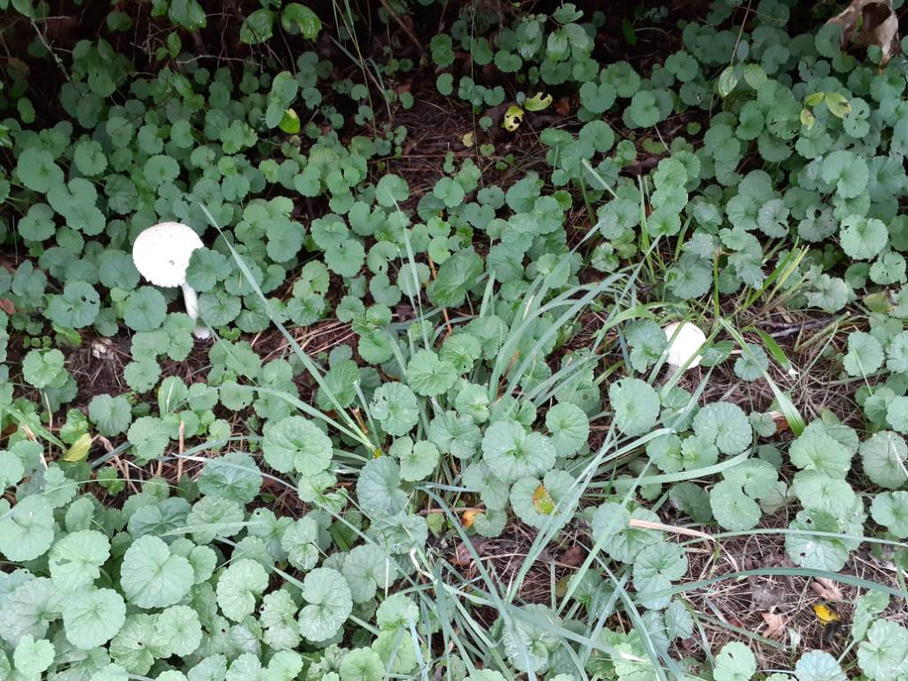20220821_153941.jpg