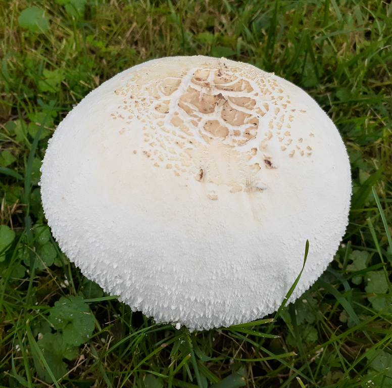 20220821_153957.jpg