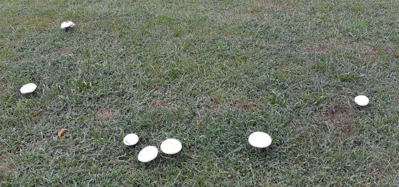 20220821_155050.jpg