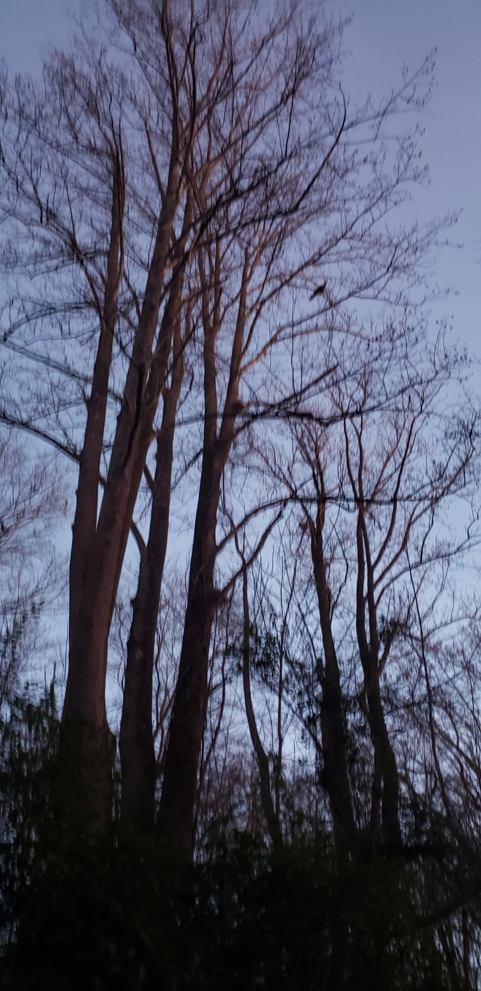 20221119_170332.jpg 20221119_170332.jpg