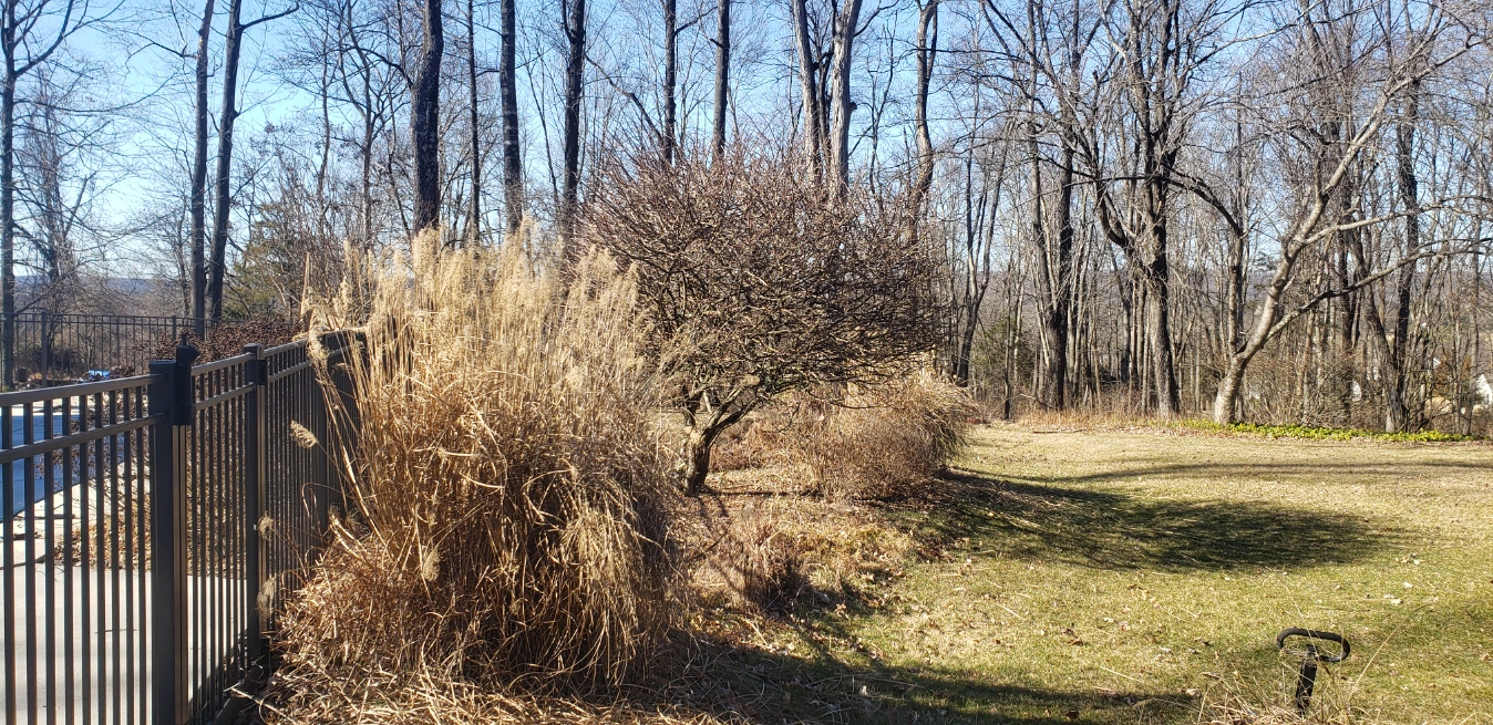20230211_135115.jpg