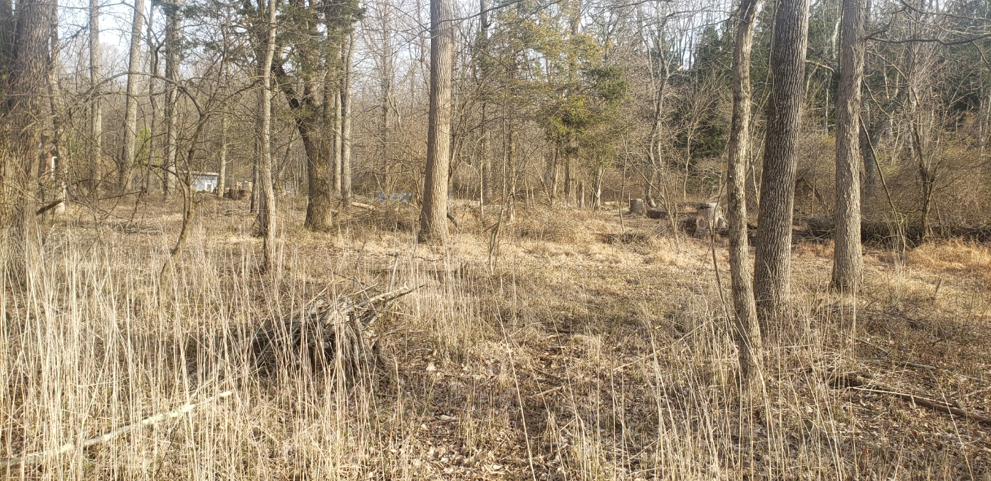 20230321_173835.jpg