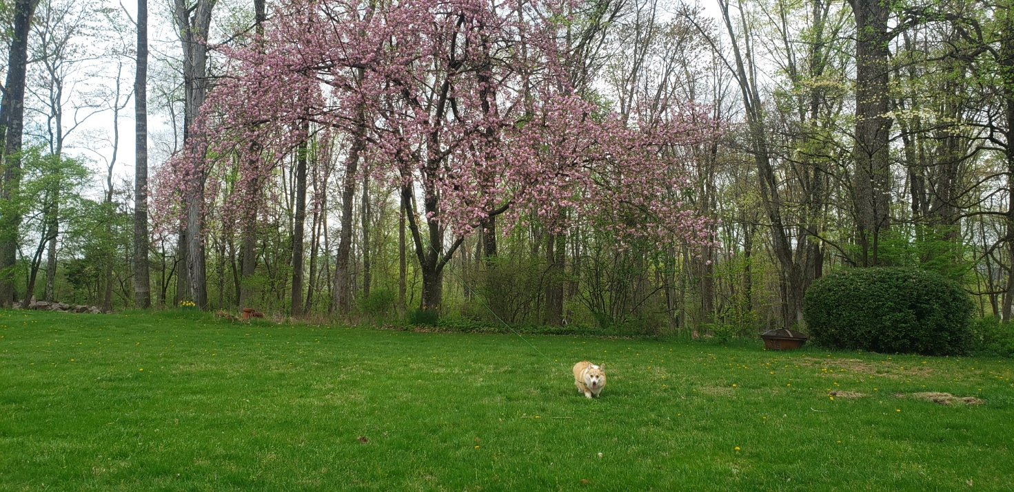 20230415_114157.jpg
