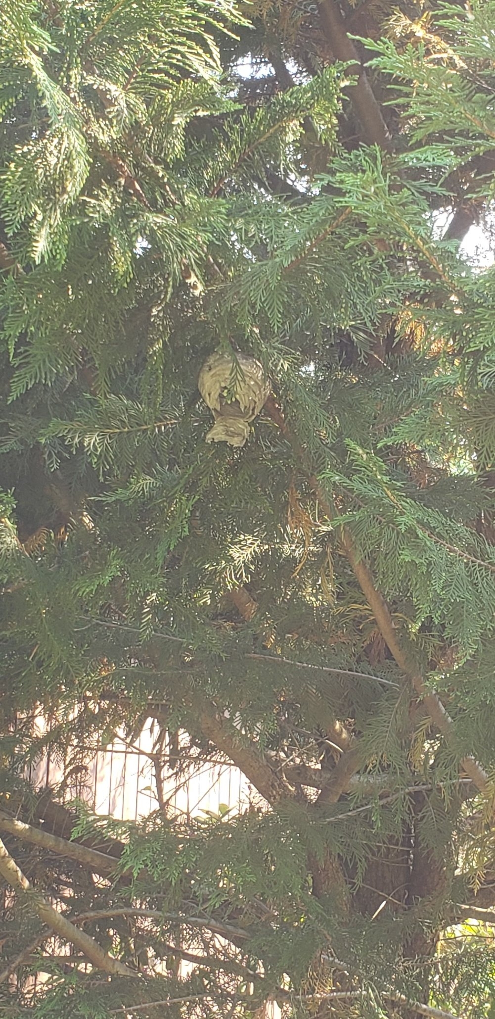 20230610_091559.jpg