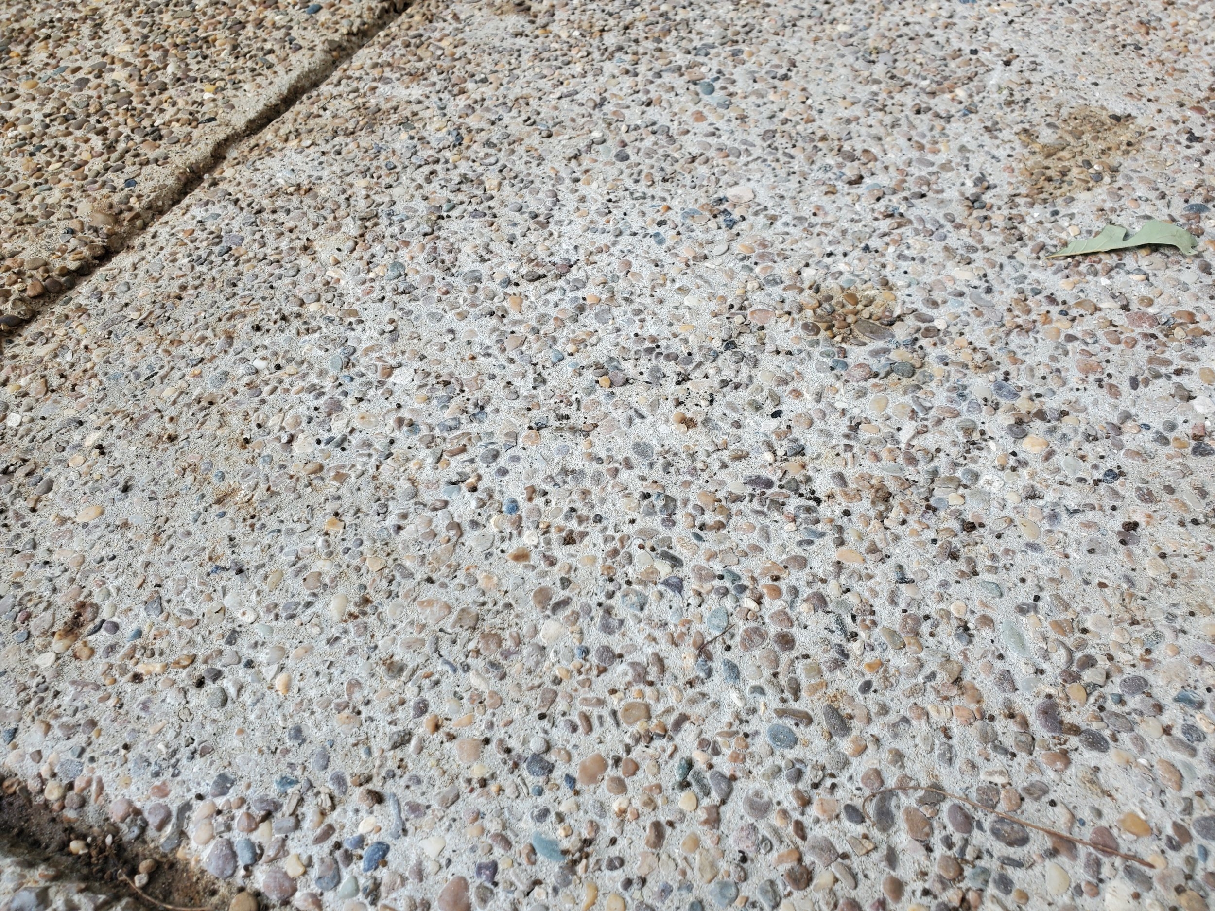 20230712_174950.jpg