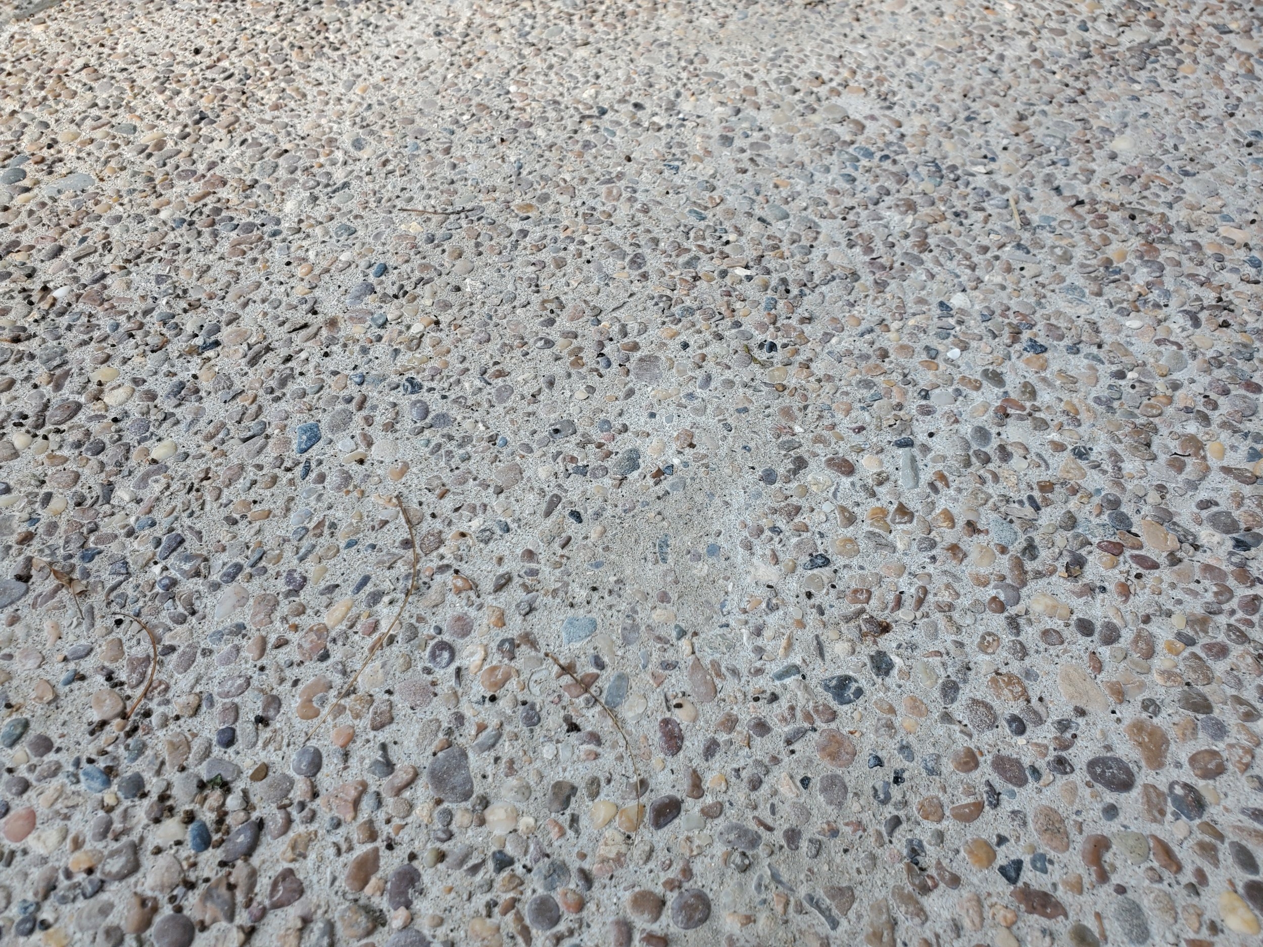 20230712_175004.jpg