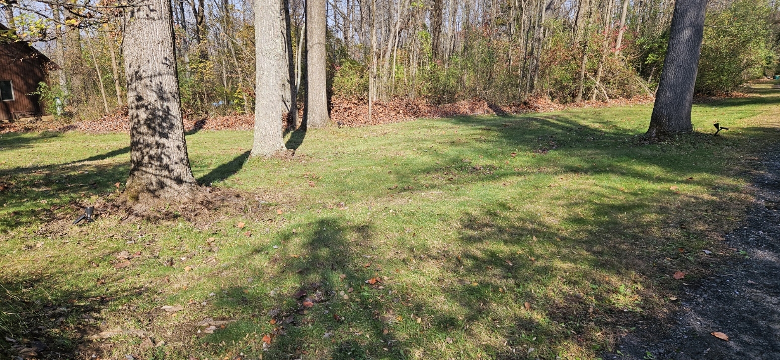 20231105_114846.jpg