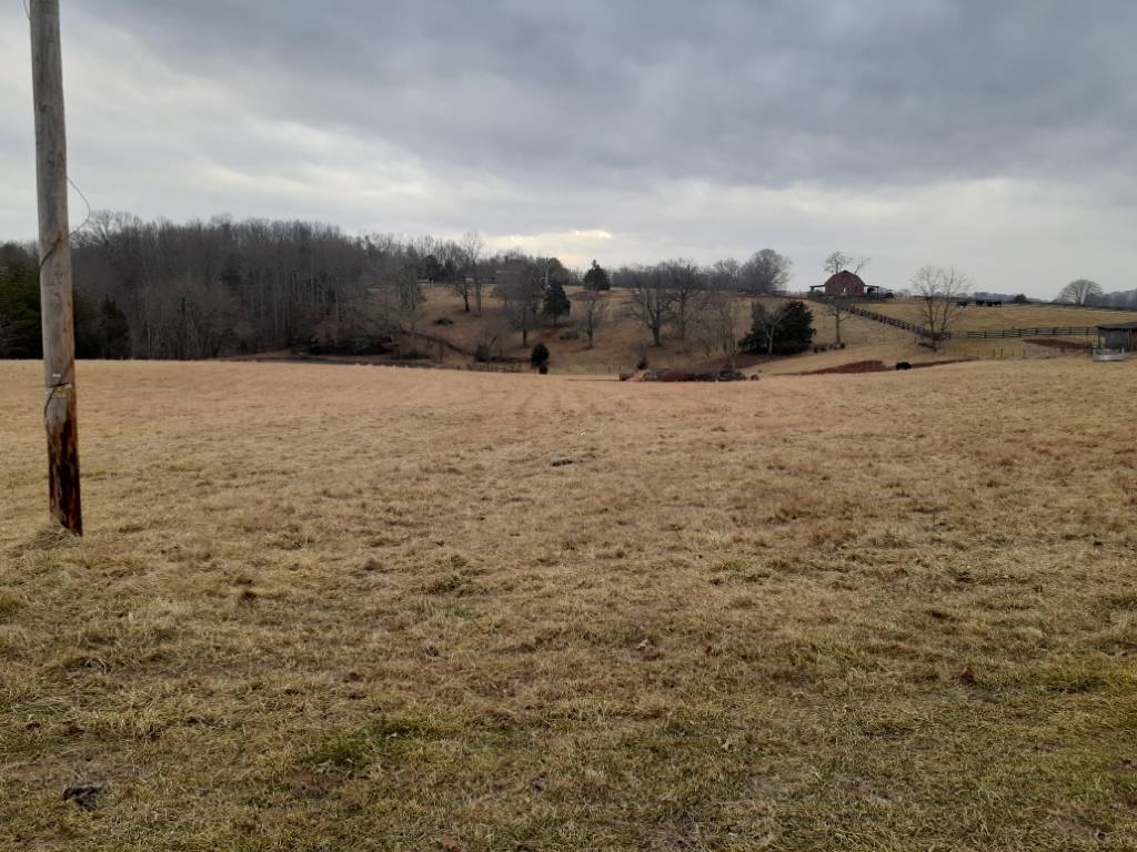 20240124_151355.jpg