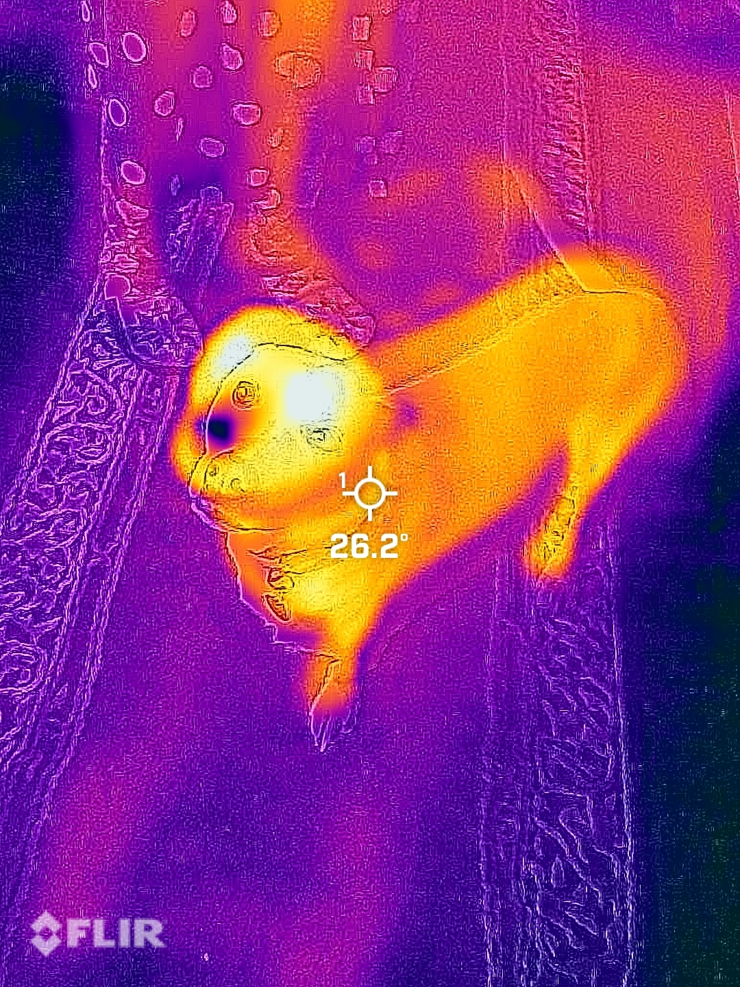 20240201T093226.jpeg