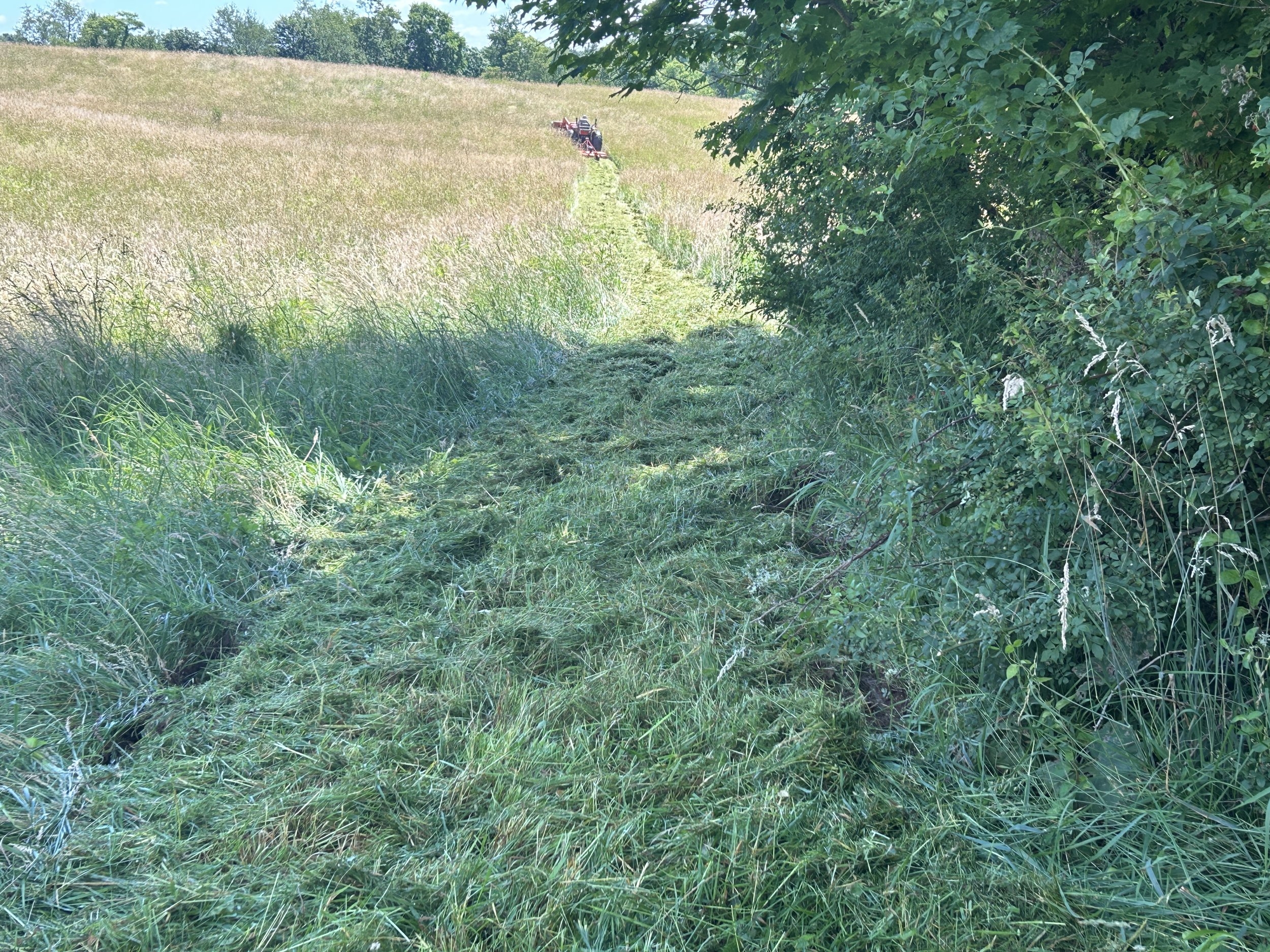 20240615_113128__OH_Farm_mowing.JPG