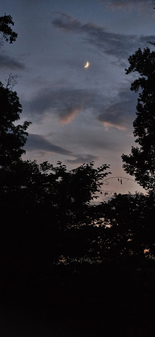 20240709_210114.jpg
