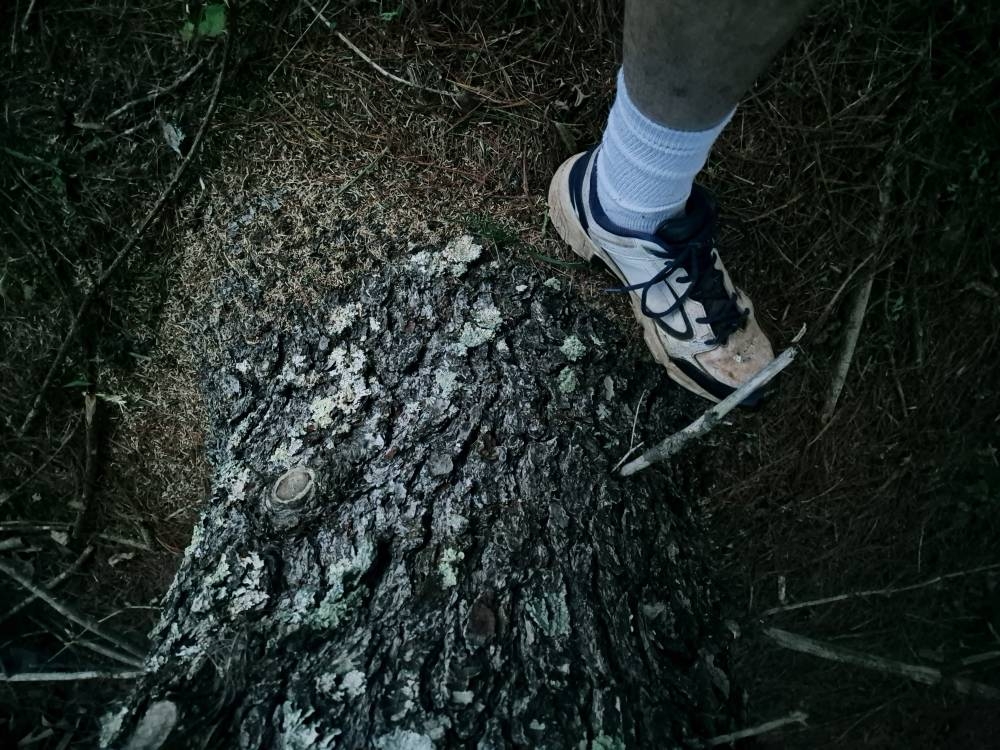 20240806_203936.jpg