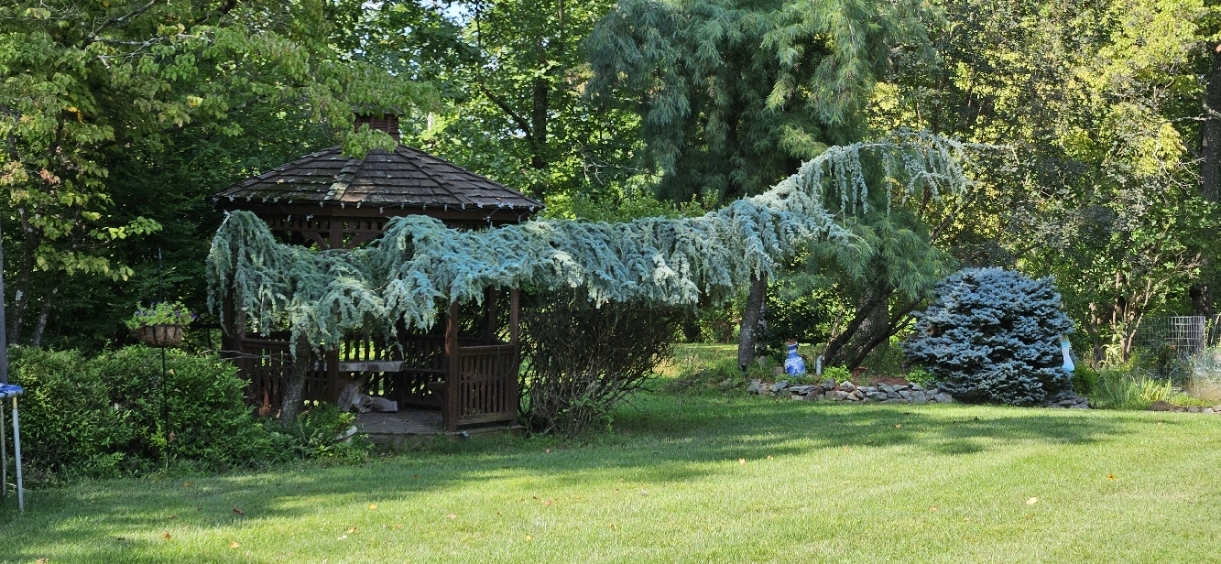 20240811_153902.jpg