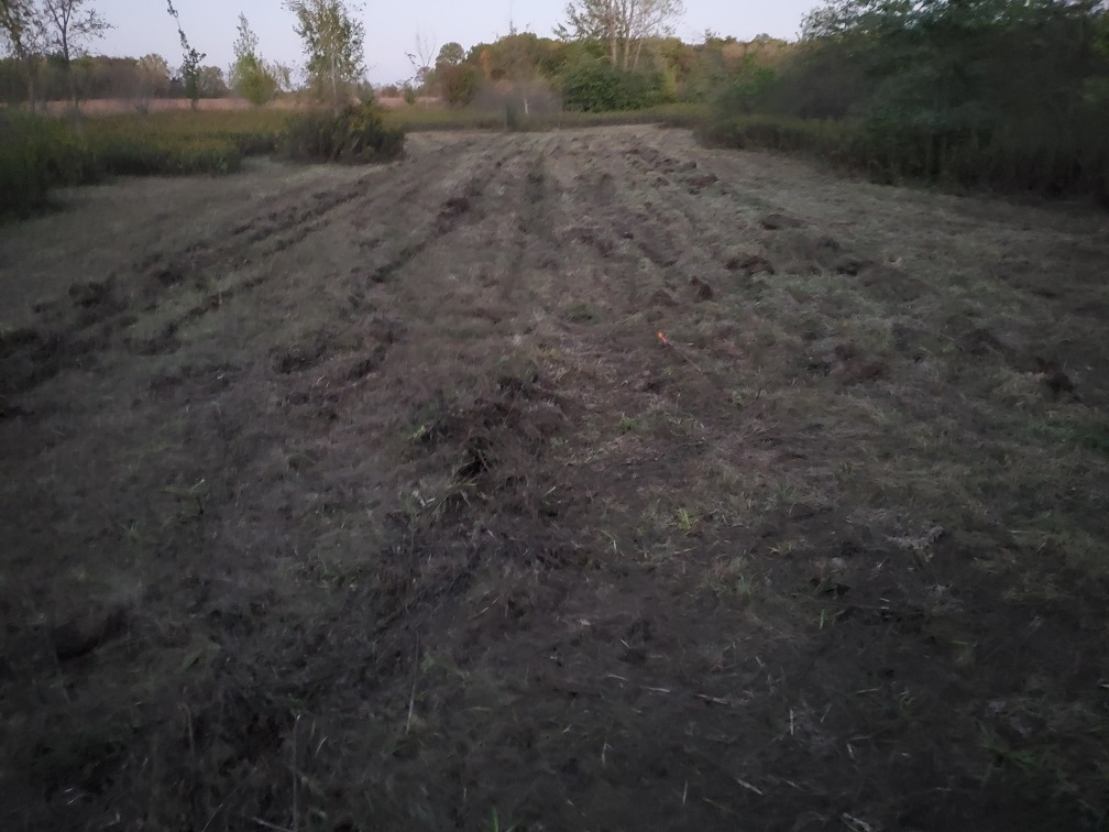 20241003_193850.jpg